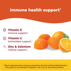 Nature Made Wellblends ImmuneMAX Gummies - 42 Gummies - image 4