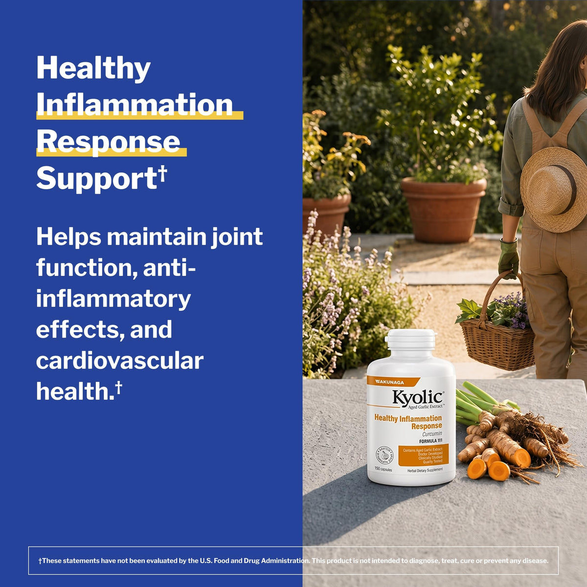 Kyolic Age Healthy Inflammation Response Formula 111 - 150 Capsules - image 4
