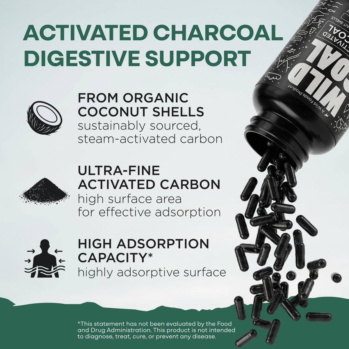 Wild Activated Charcoal Capsules from 100% Organic Coconut Shells