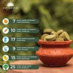 SAPTAMVEDA Natural Moringa Tablets - 500mg - 120 Tablets - image 4