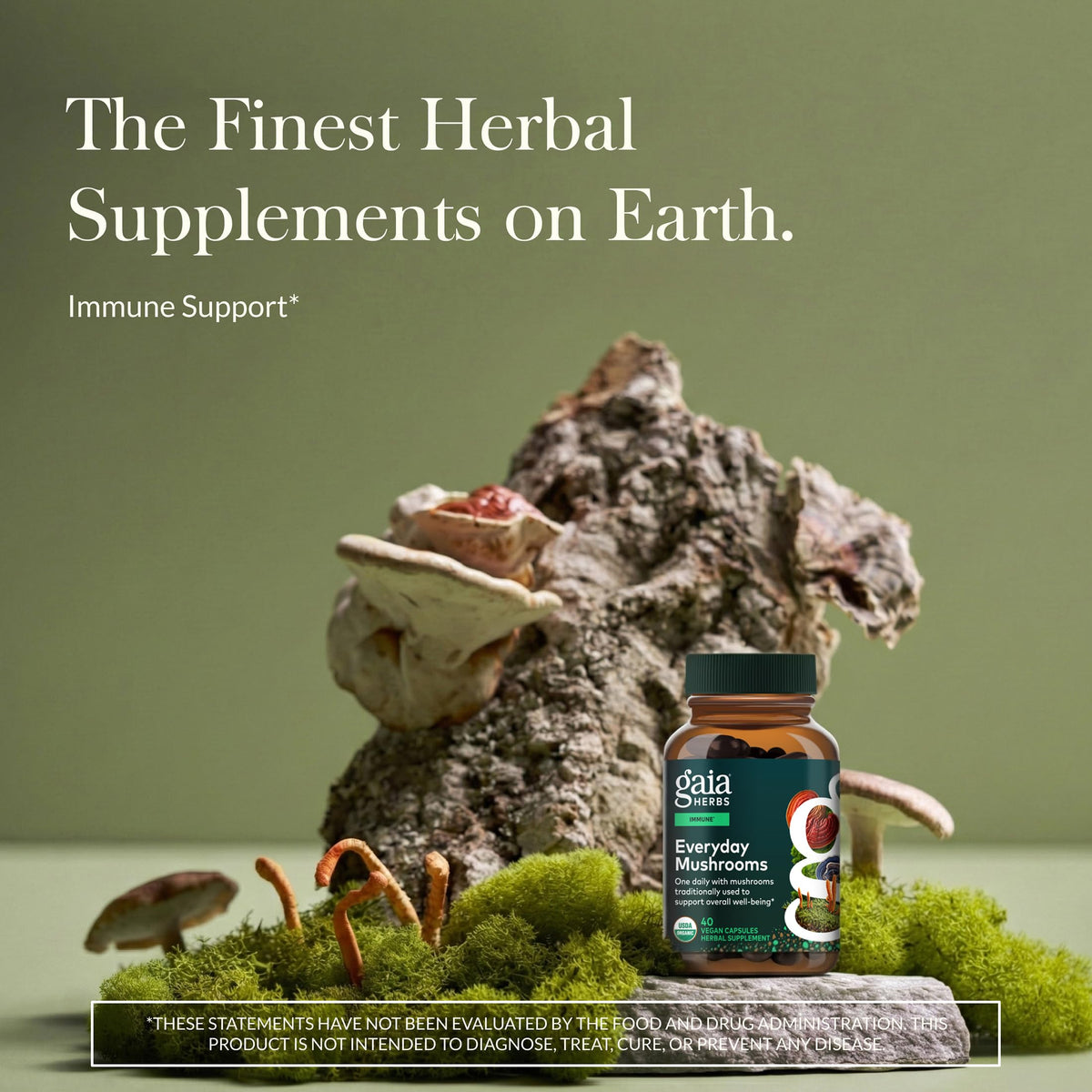 Gaia Herbs Everyday Mushrooms Immune Support - 40 Capsules - image 2