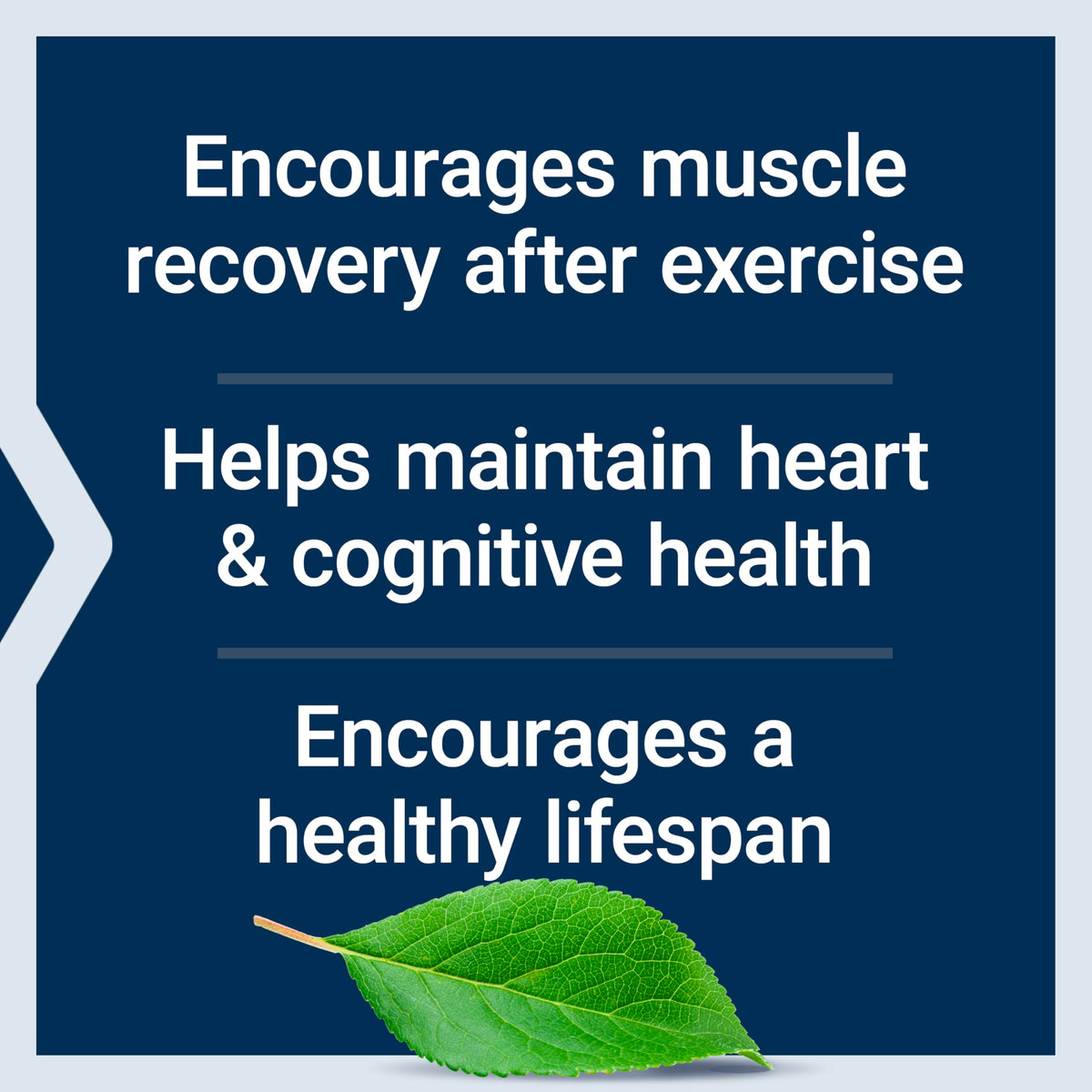 Life Extension Taurine Amino Acid 1000 mg - 90 Vegetarian Capsules - image 4