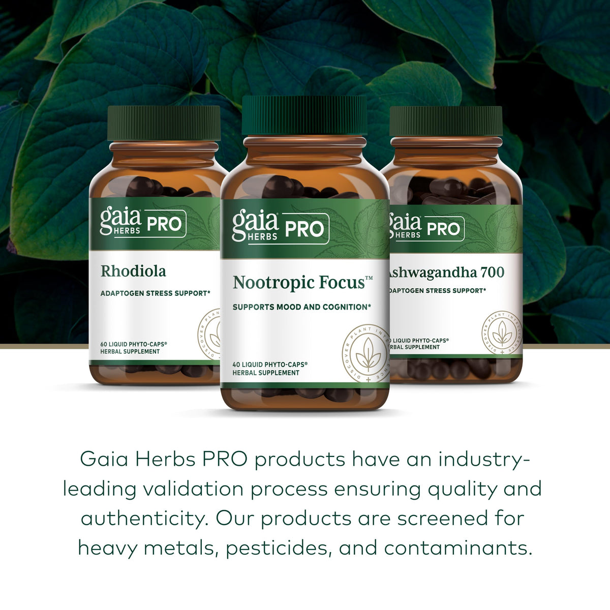 Gaia Herbs PRO Nootropic Focus Brain Health - 40 Vegan Capsules - image 6