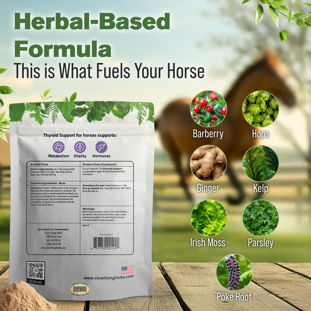 Silver Lining Herbs Thyroid Support for Horses - 1 Pound - image 3