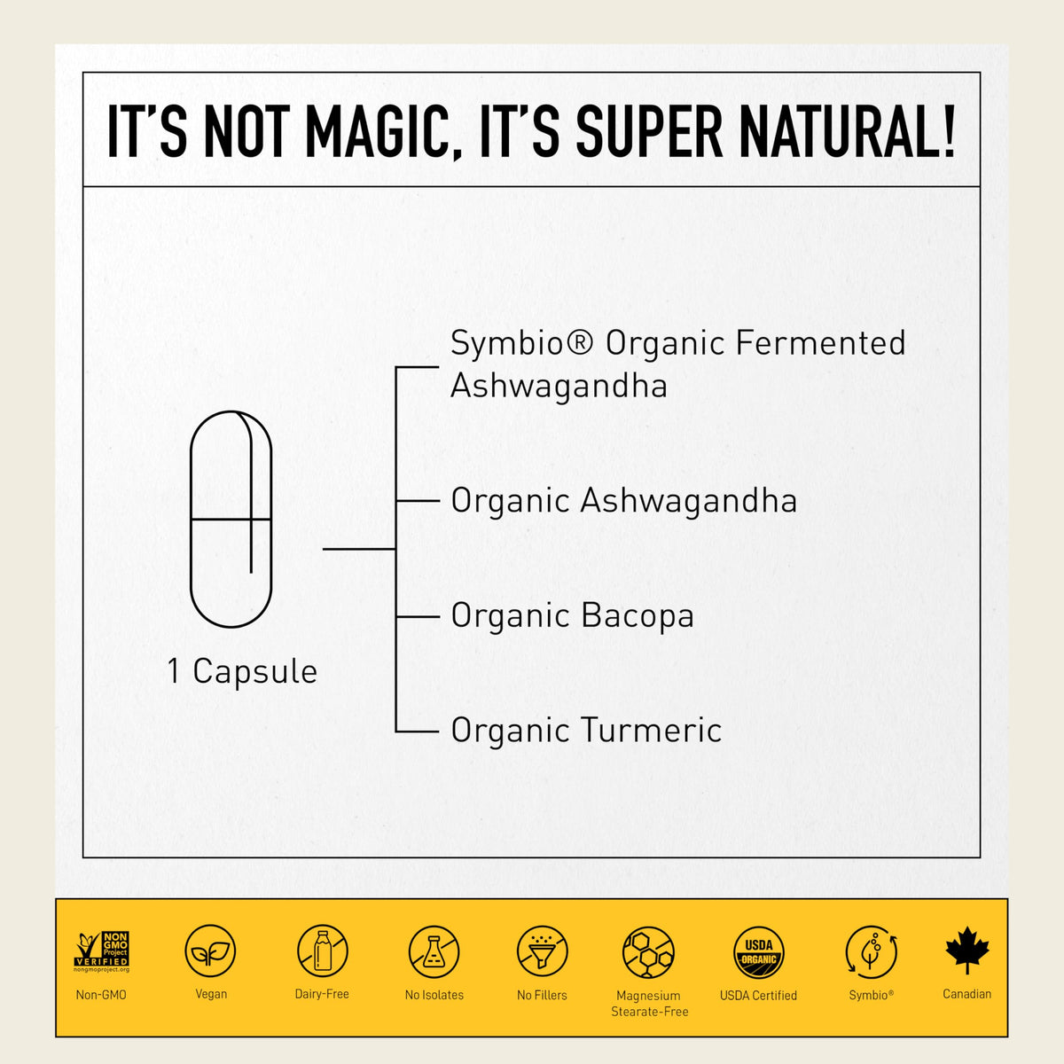 Living Alchemy Fermented Ashwagandha Capsules - 60 Count - image 3