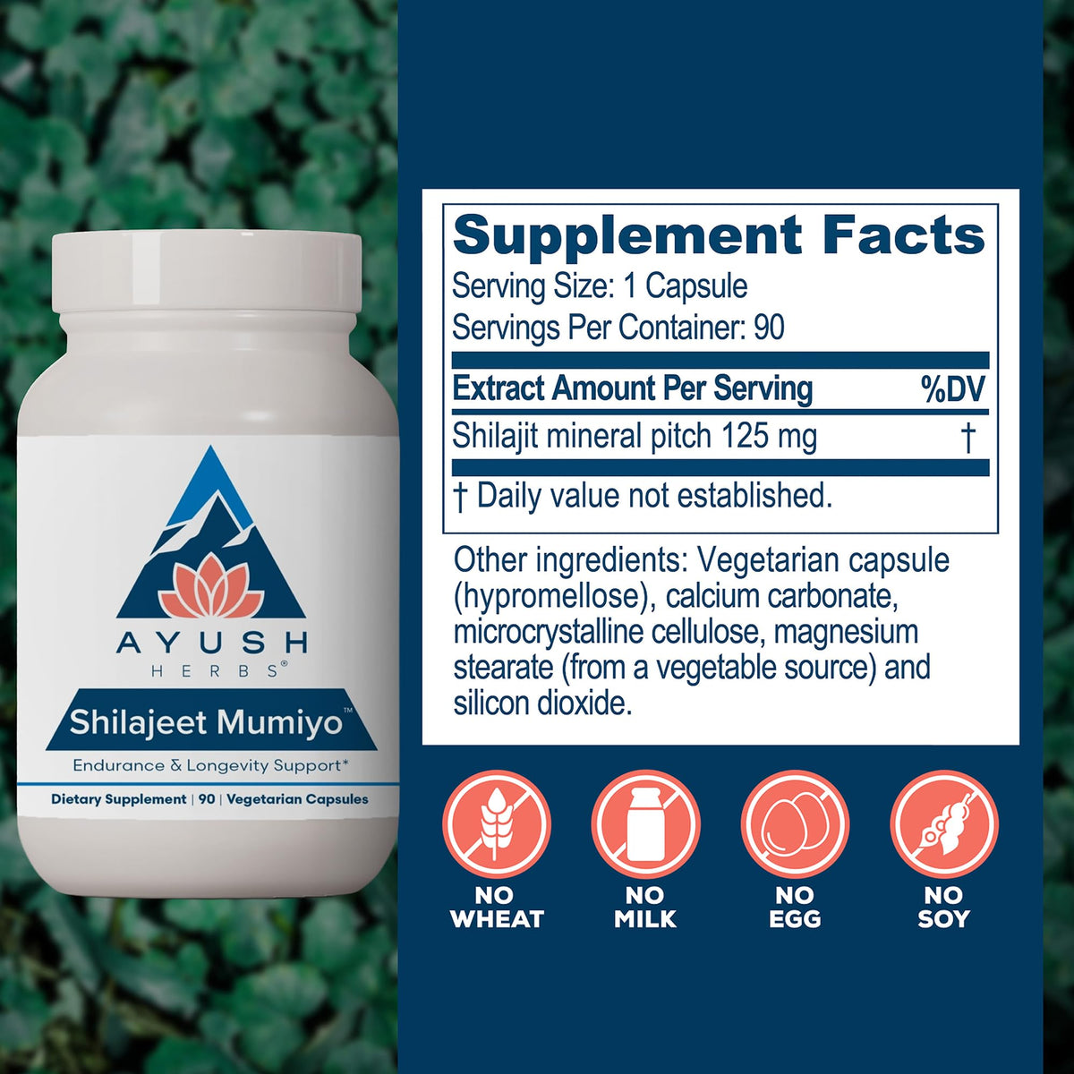 Ayush Herbs Shilajit Supplement for Energy & Wellness - 90 Vegetarian Capsules - image 3
