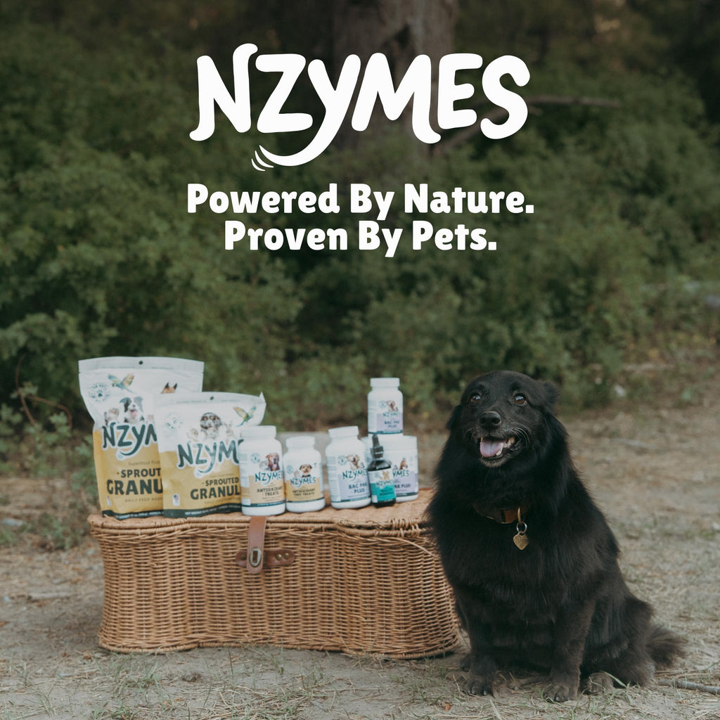 Nzymes Tracite Trace Mineral Drops for Pets - 2.2 oz - image 7
