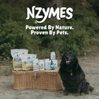Nzymes Tracite Trace Mineral Drops for Pets - 2.2 oz - image 7