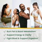 Nobi Nutrition Green Tea Fat Burner Gummies - 60 Count - image 2