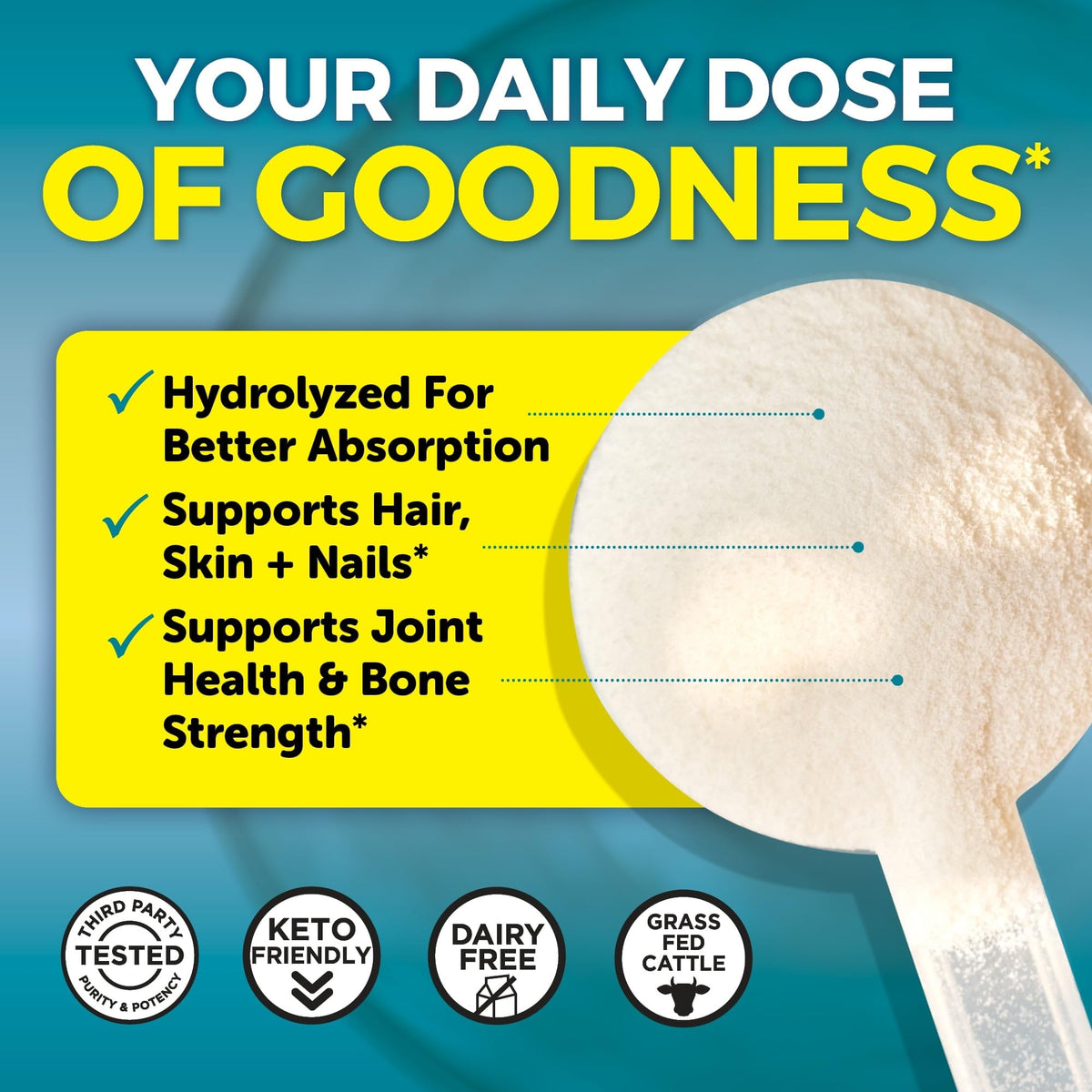 Viva Naturals Collagen Peptides Powder Grass-Fed - 1lb - image 4