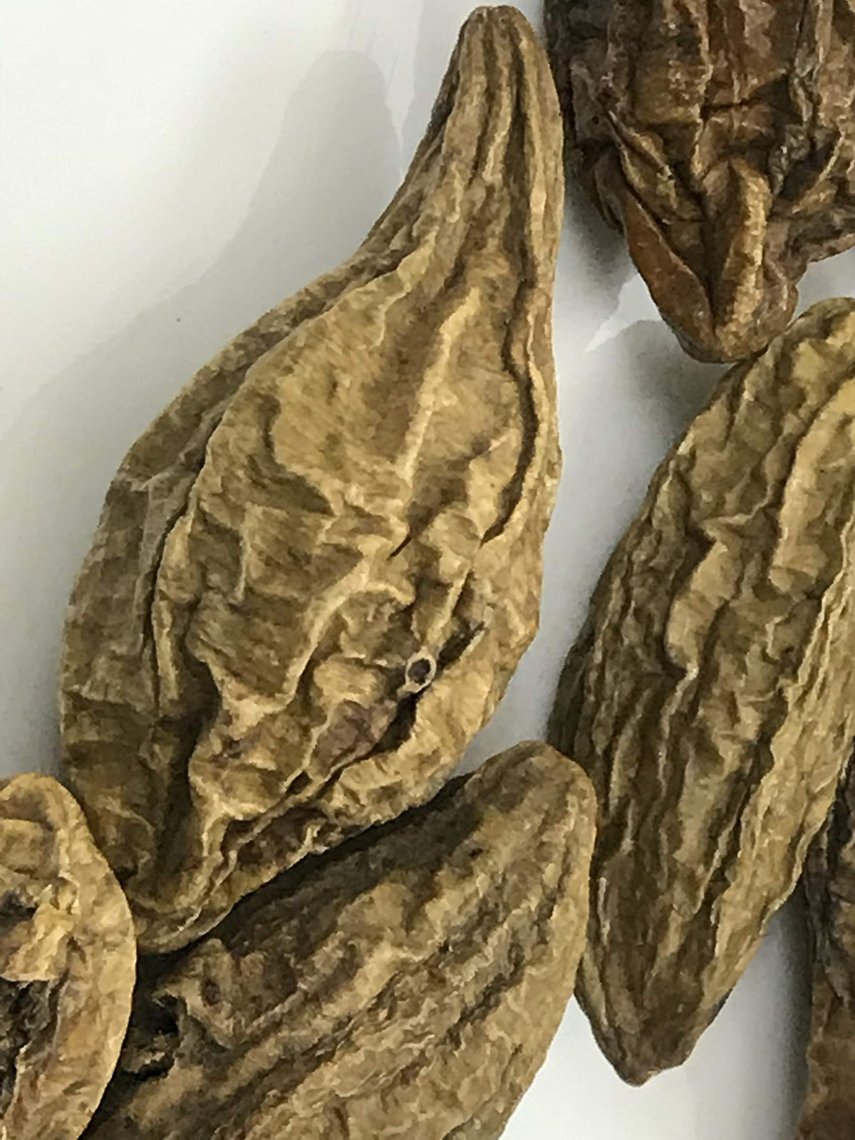 SANAA ZESTY HARAD (Haritaki) Whole / Terminalia chebula / INDIAN