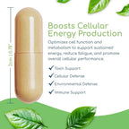 Return Healthy Cell Nutrients Methylated Multivitamin - 120 Capsules - image 4