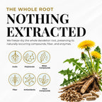 Eclectic Herb, Dandelion Root Capsules, Liver, Detox, Digestion