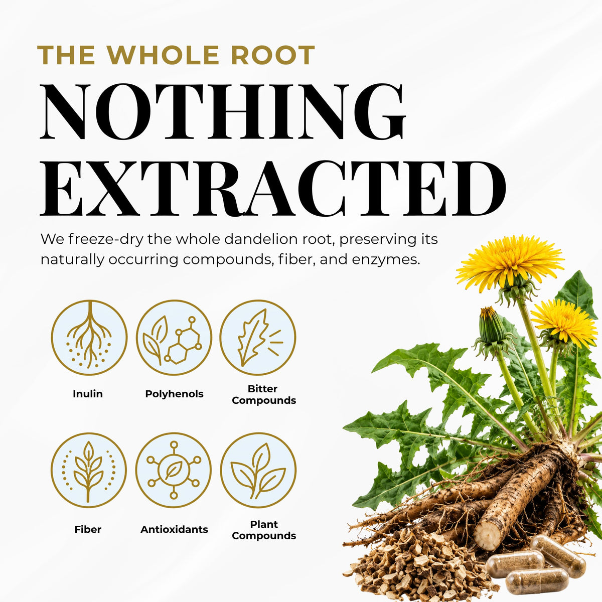 Eclectic Herb, Dandelion Root Capsules, Liver, Detox, Digestion