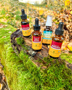 Herb Pharm Schisandra Berry Liquid Extract - 4 Fl Oz - image 5