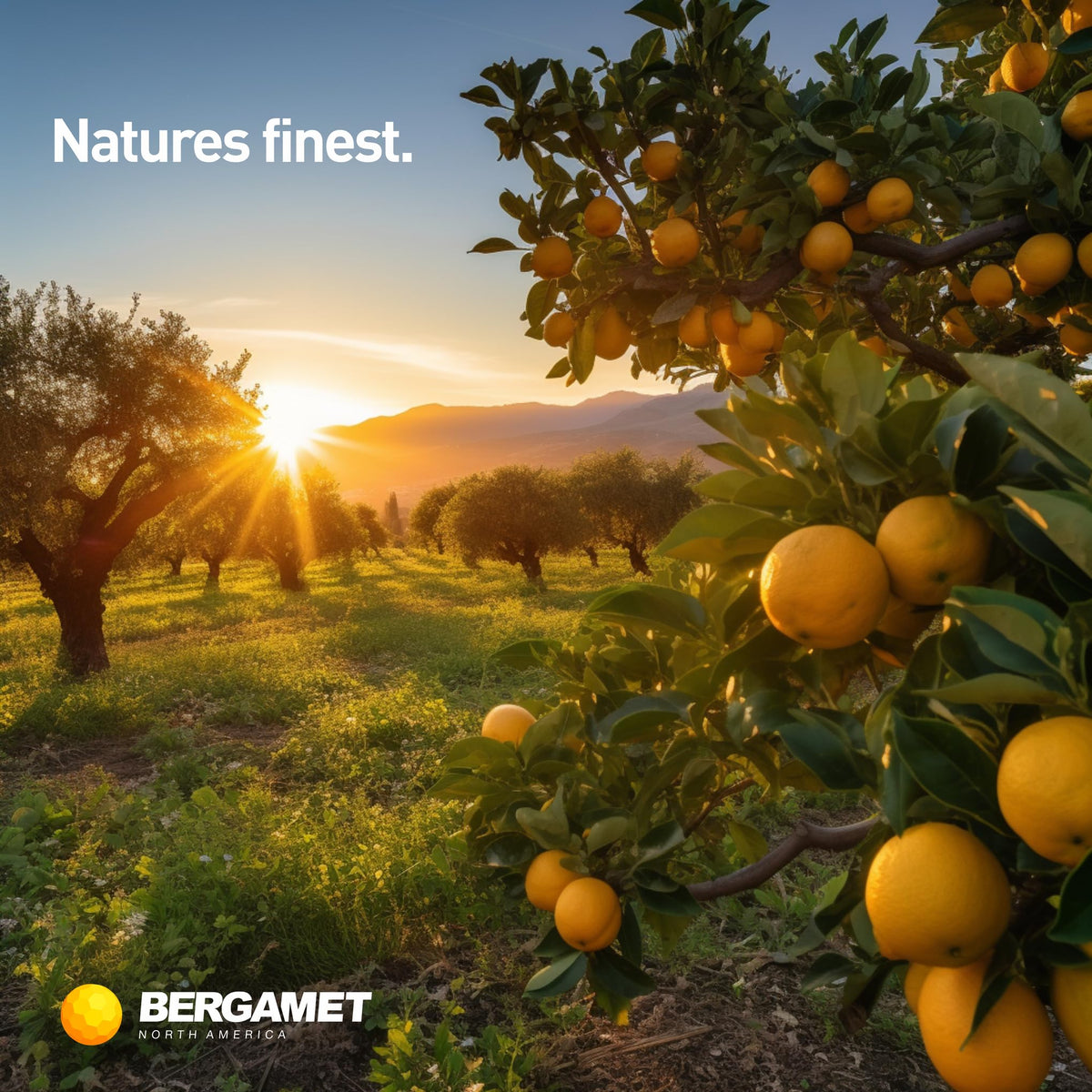 BergaMet Citrus Bergamot Supplement 1200mg - 120 Capsules - image 6