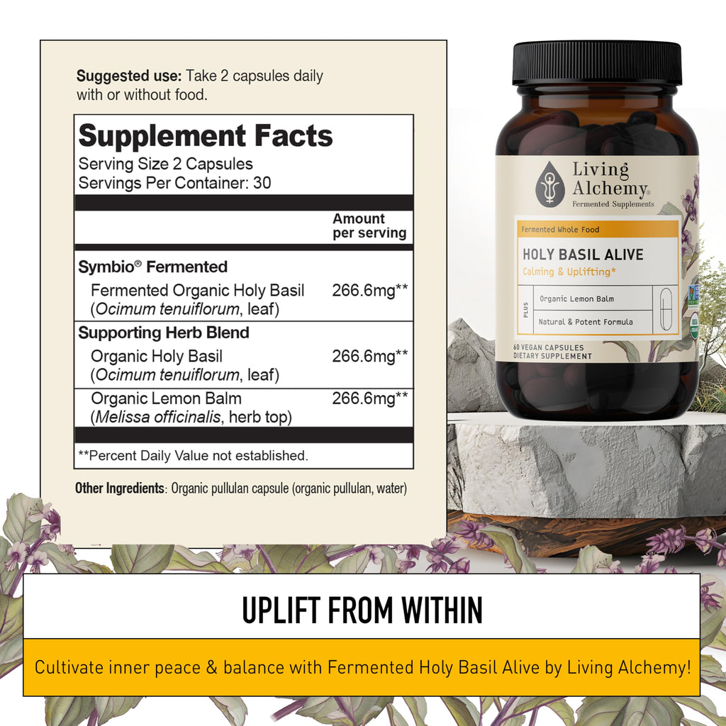 Living Alchemy Fermented Holy Basil Supplement - 60 Capsules - image 2