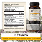 Living Alchemy Fermented Holy Basil Supplement - 60 Capsules - image 2