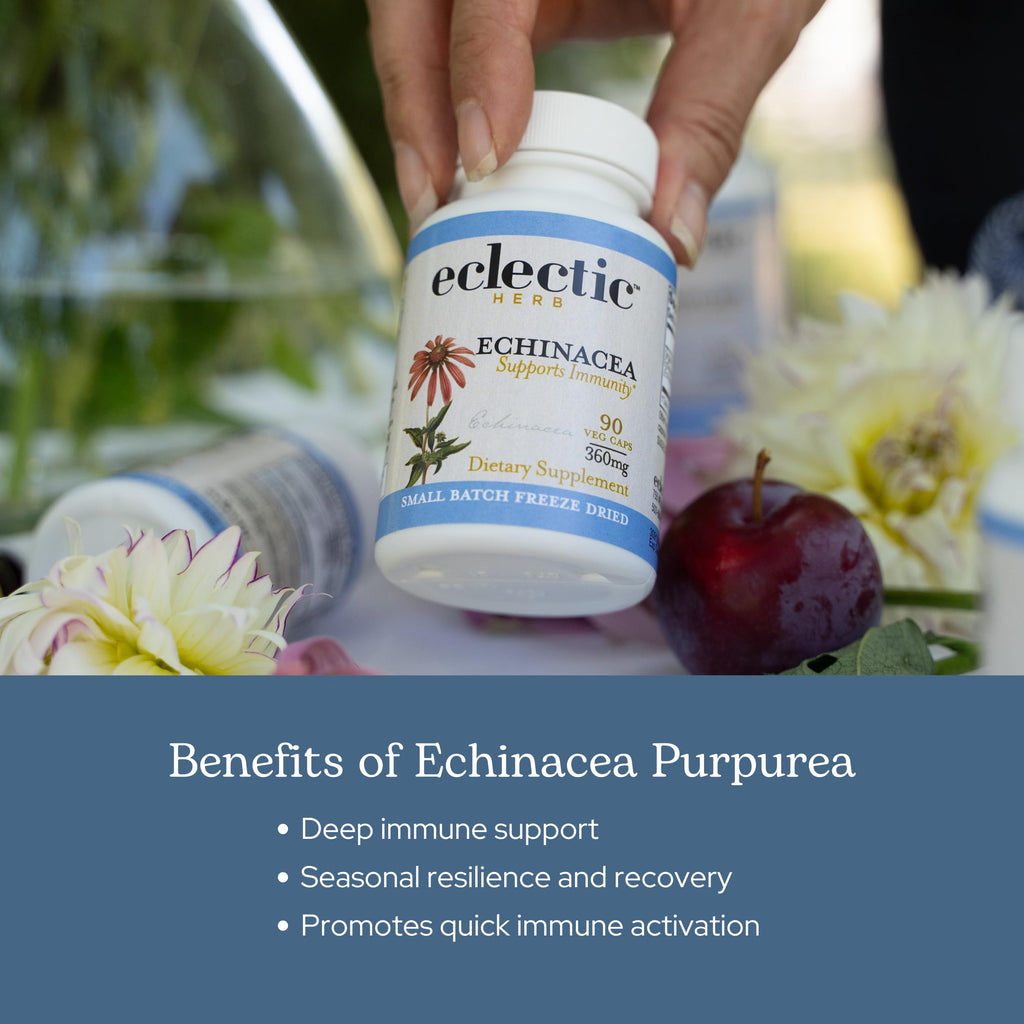 Eclectic Institute Echinacea Purpurea Root Capsules - 90 Count - image 4