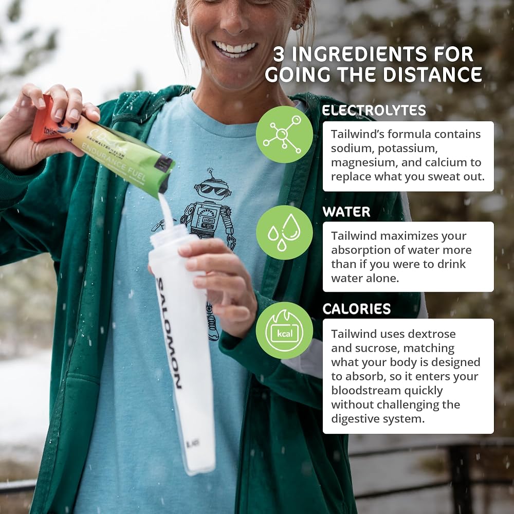 Tailwind Nutrition Endurance Fuel Dauwaltermelon - 12 Servings - image 3