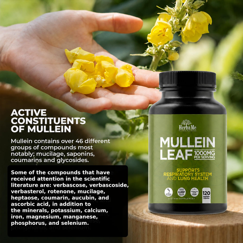 HerbaMe Mullein Leaf 1000mg Lung Support - 120 Capsules - image 7