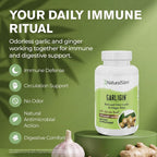 NaturalSlim Garligin Garlic & Ginger Immune Supplement - 100 Capsules - image 3