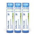 Boiron Coffea Cruda Homeopathic Medicine for Sleeplessness - 240 Pellets