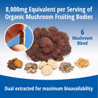 ENCAPSULATE 6 Mushroom Blend
