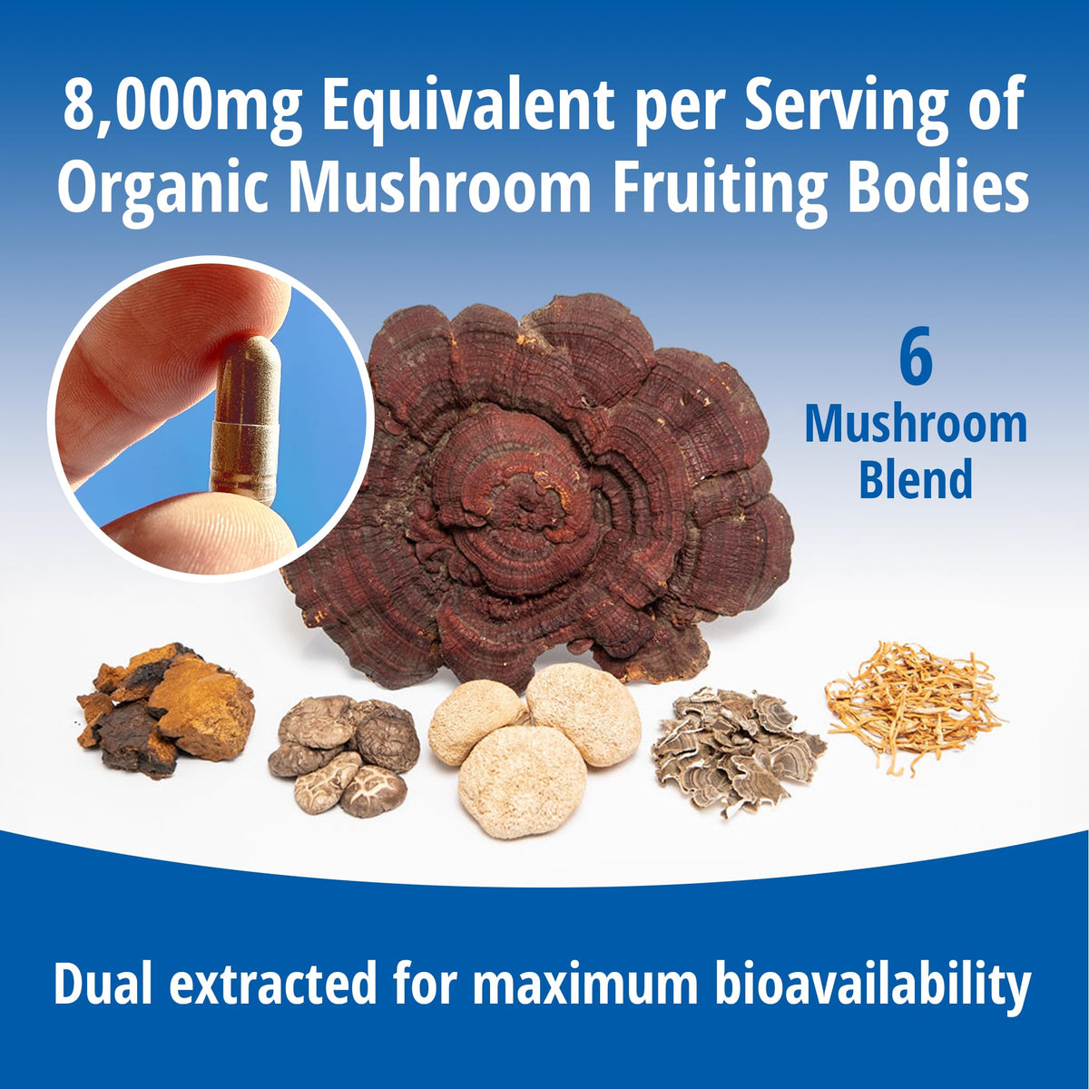 ENCAPSULATE 6 Mushroom Blend