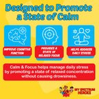 My Spectrum Heroes Calm & Focus Supplement Drops for Brain Support - 60 ml - image 4