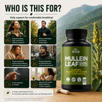 HerbaMe Mullein Leaf 1000mg Lung Support - 120 Capsules - image 6