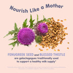 OAT MAMA Organic Lactation Supplement Blessed Thistle & Fenugreek - 60 Capsules - image 4