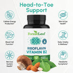 ForestLeaf Vitamin B2 Riboflavin 400mg - Energy