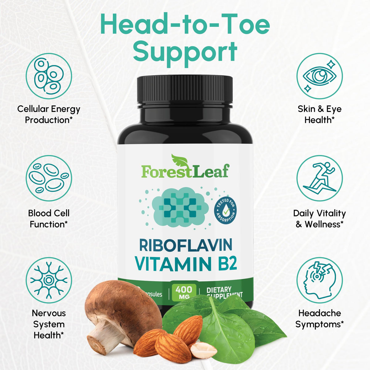 ForestLeaf Vitamin B2 Riboflavin 400mg - Energy