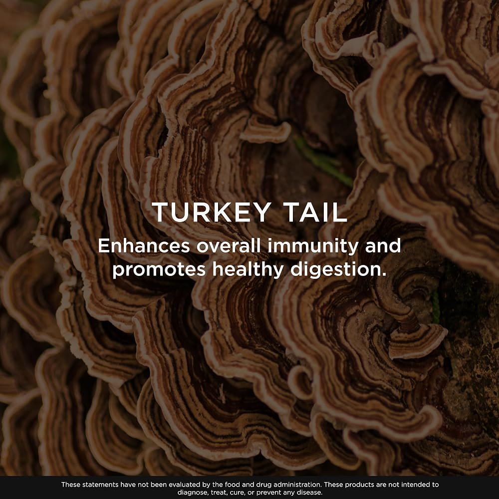 The Genius Brand Turkey Tail Mushroom - 120 Vegetarian Capsules - image 5