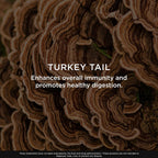 The Genius Brand Turkey Tail Mushroom - 120 Vegetarian Capsules - image 5