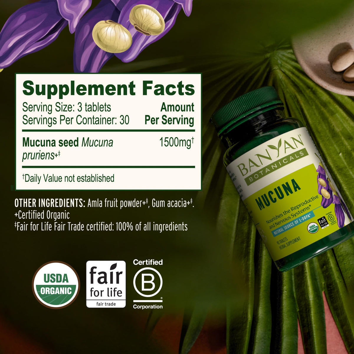 Banyan Botanicals Organic Mucuna Pruriens Tablets - 90 Tablets - image 3