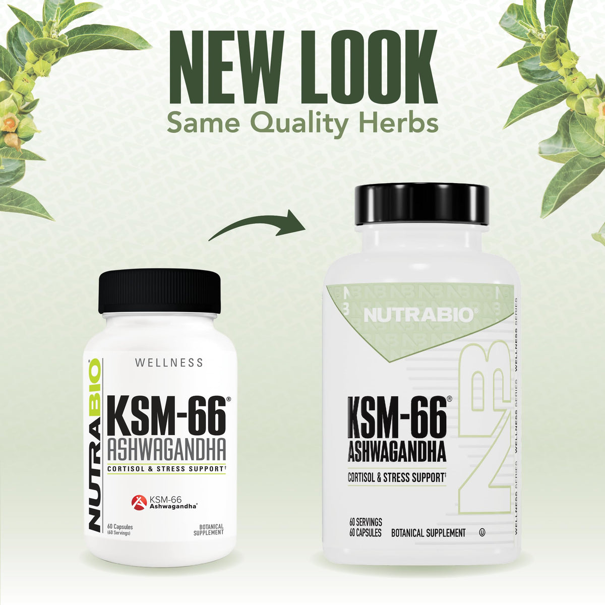 NutraBio Ashwagandha KSM-66 600 MG for Stress & Mood - 60 Capsules - image 9