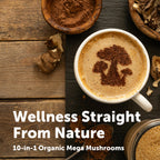 Micro Ingredients Organic Mega Mushroom Powder 10-in-1 - 10oz - image 5
