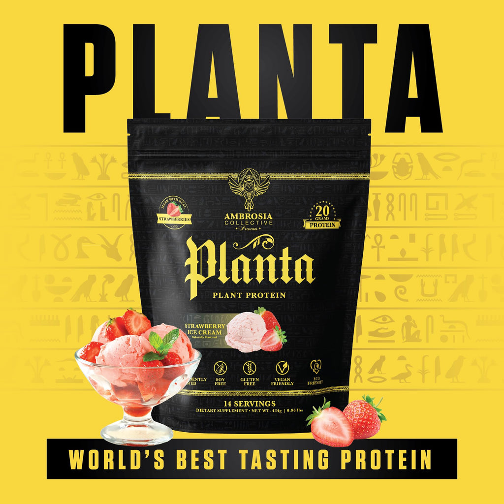 Ambrosia Planta - Premium Plant-Based Protein