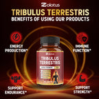 Zolotus Tribulus Terrestris Herbal Supplement - 90 Capsules - image 7