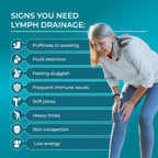 PUREHEALTH RESEARCH Lymph System Support Parent
