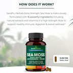 SANDHUHERBALS Sea Moss Capsules with Black Seed Oil & Ashwagandha - 60 Count - image 5