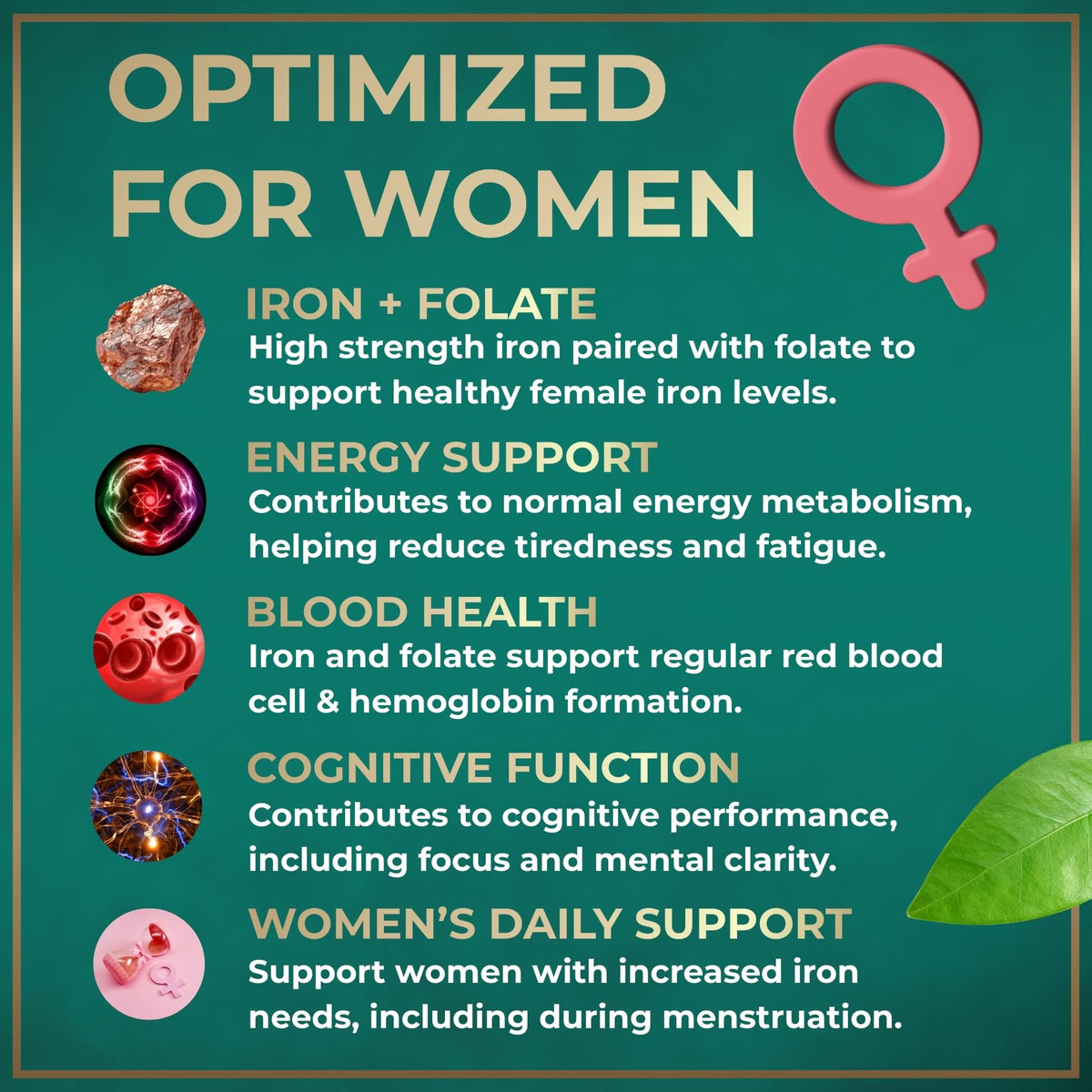 WILD FUEL Iron Supplement for Women with Folic Acid Parent
