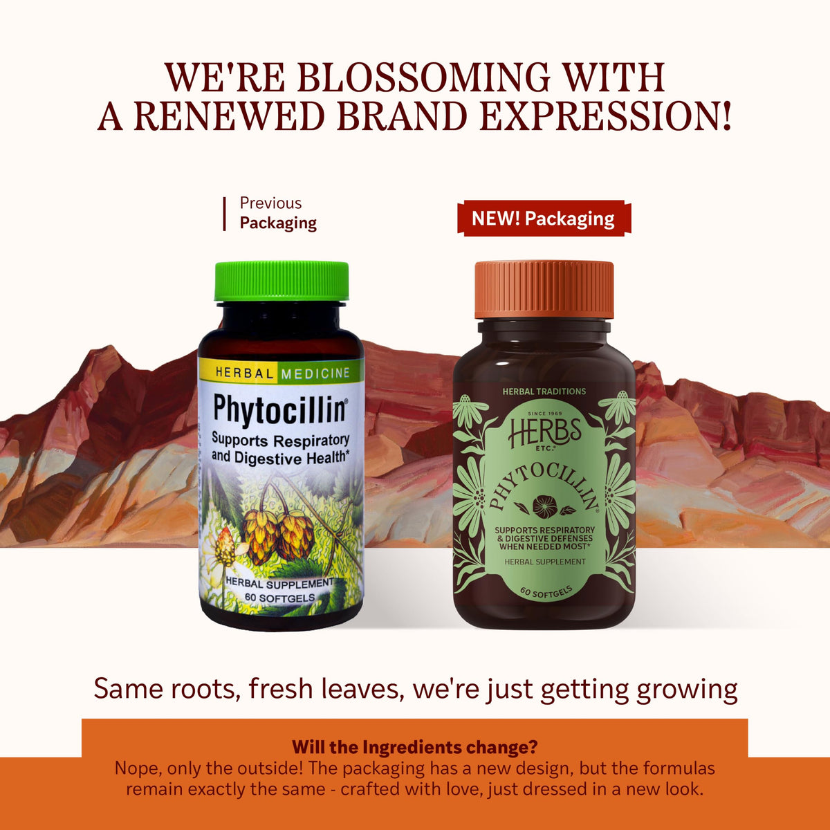 Herbs Etc. Phytocillin - Respiratory & Digestive Health Support