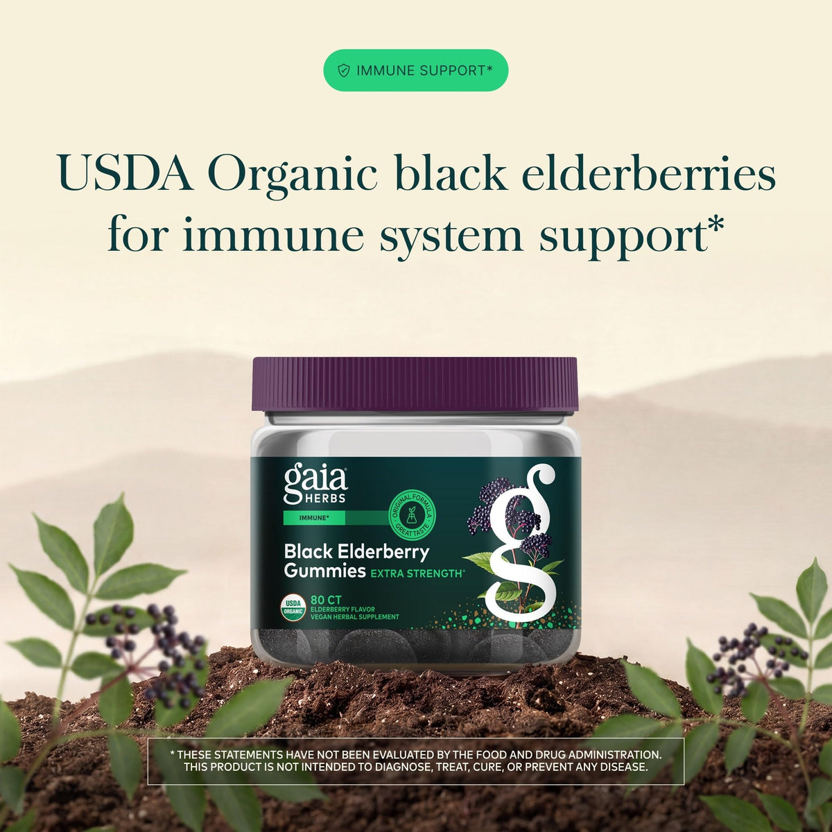 Gaia Herbs Black Elderberry (Sambucus nigra) Extra Strength Gummies