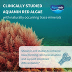 Igennus Red Algae Calcium Magnesium Complex Bone Support - 60 Tablets - image 3