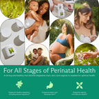 Needed. Prenatal Prebiotic & Probiotic - 60 Capsules - image 4