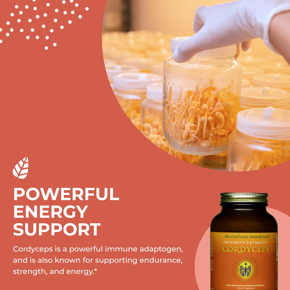 HEALTHFORCE SUPERFOODS Integrity Extracts Cordyceps Powder - 130g - image 4