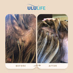 ULULIFE Hair Growth Vitamins for Men & Women - Advanced Multivitamin
